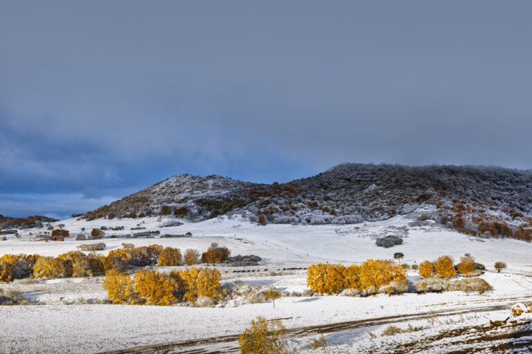 The first snow in Northern China